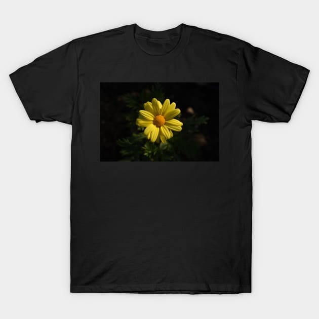 Brilliant Yellow Flower T-Shirt by Steves-Pics